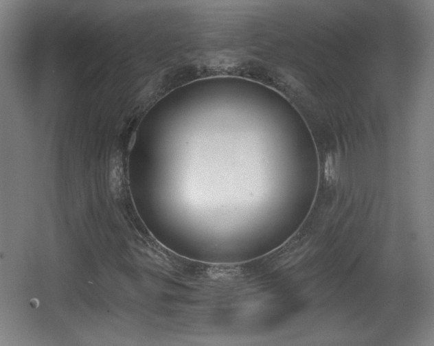 X0000068261299200604241221