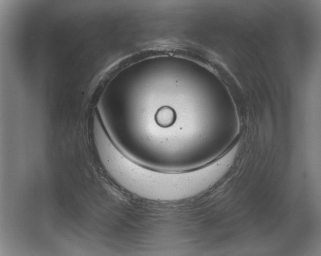 X0000068261304200604241221