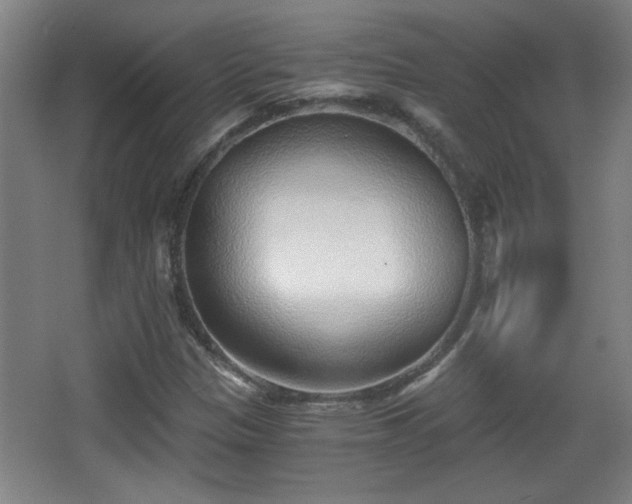 X0000068261305200604241221