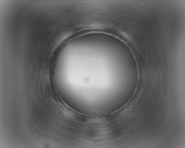 X0000068261307200604241221