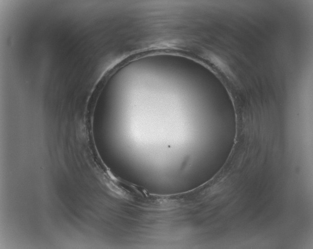 X0000068261308200604241221