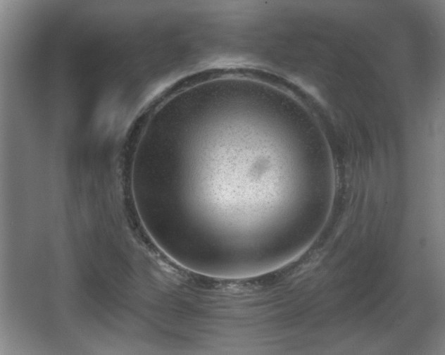 X0000068261311200604241221