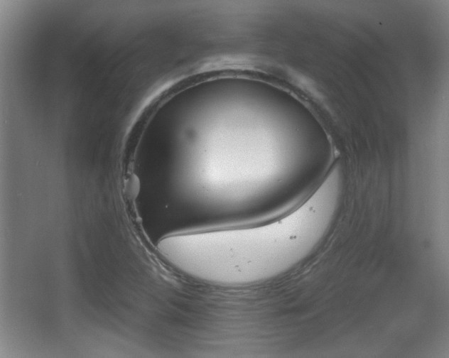 X0000068261312200604241221