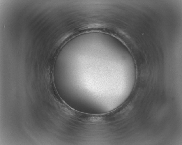 X0000068261313200604241221