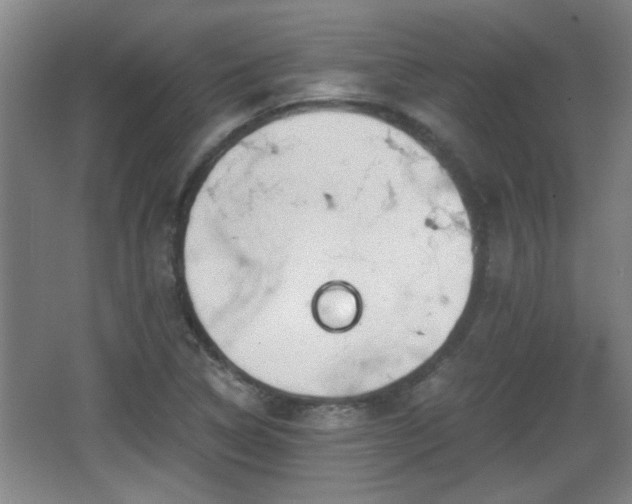 X0000068261314200604241221