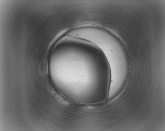 X0000068261317200604241221