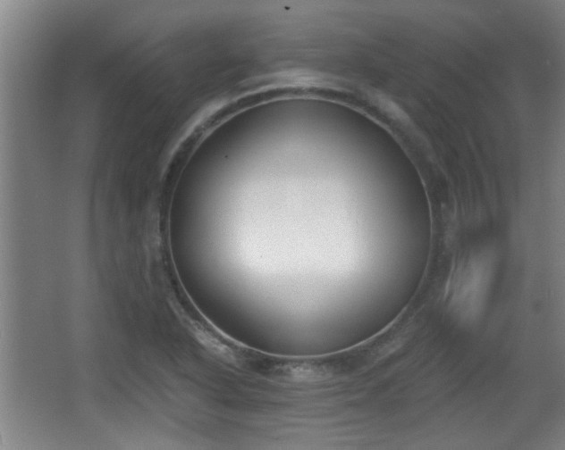 X0000068261318200604241221