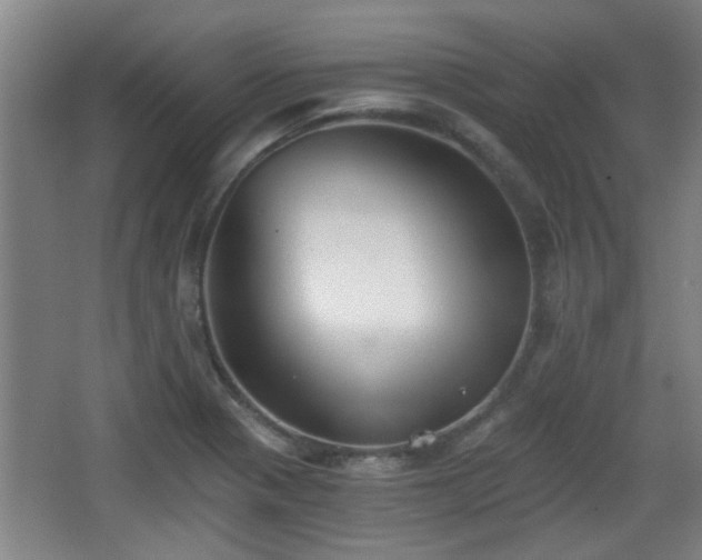 X0000068261321200604241221