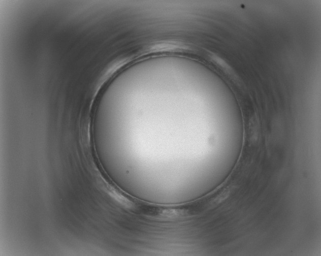 X0000068261322200604241221