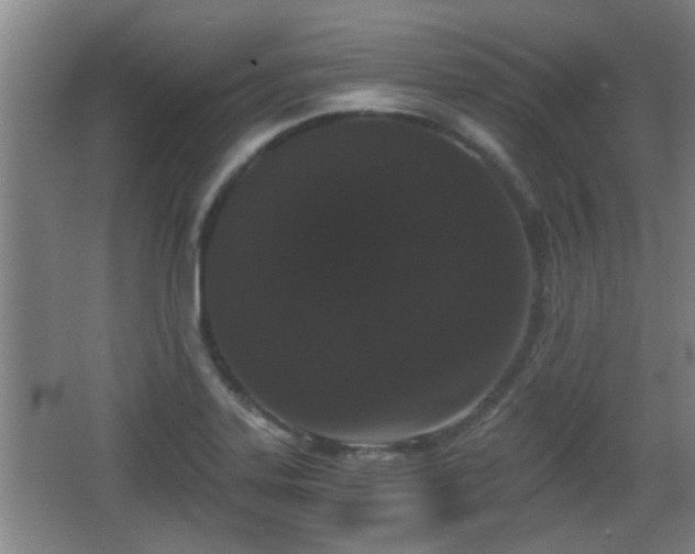 X0000068261323200604241221