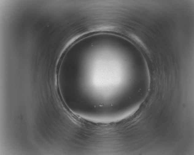 X0000068261324200604241221