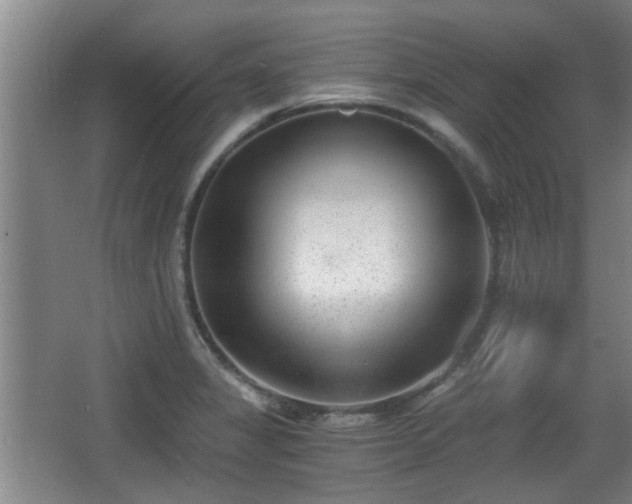 X0000068261325200604241221