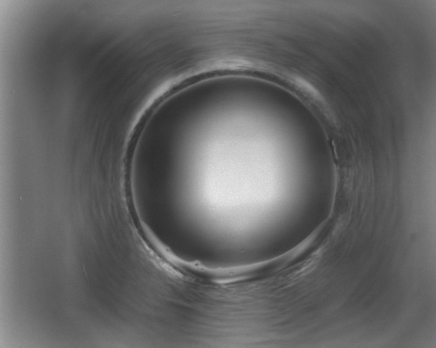 X0000068261326200604241221