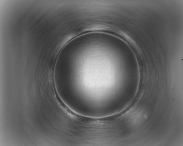 X0000068261329200604241221