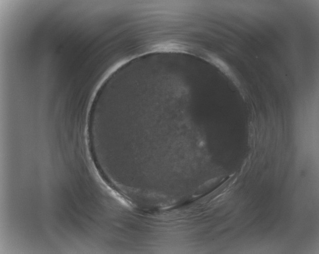 X0000068261331200604241222