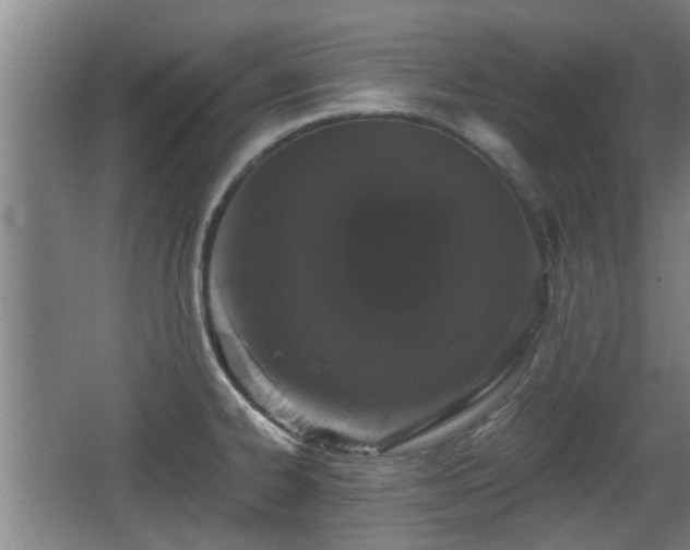 X0000068261334200604241222