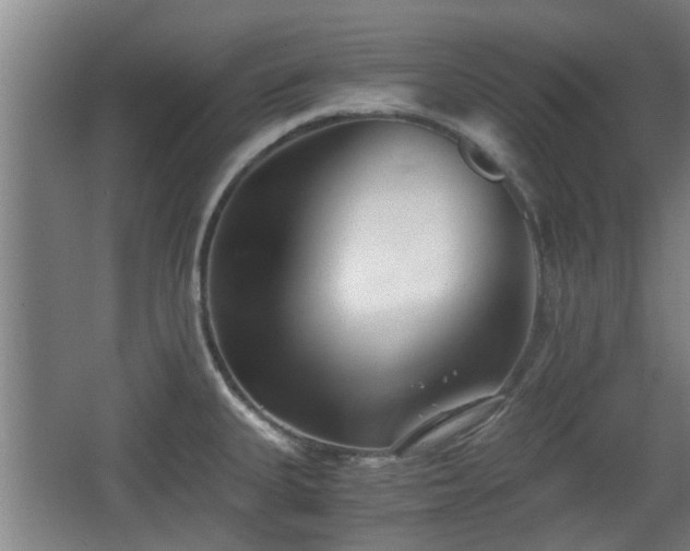 X0000068261335200604241222