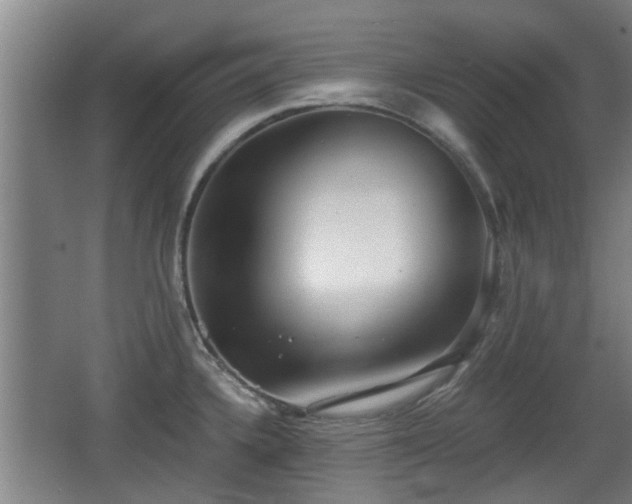 X0000068261336200604241222