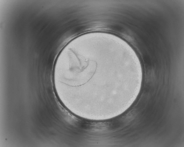 X0000068261338200604241222