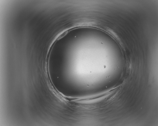 X0000068261340200604241222