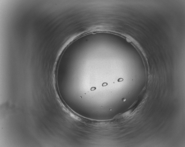 X0000068261341200604241222