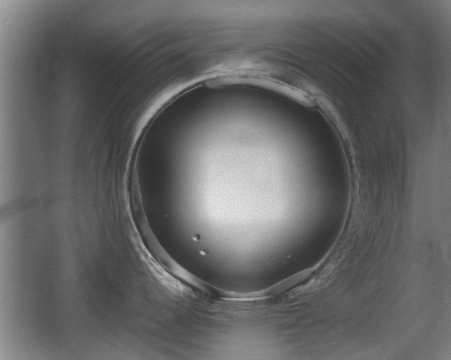 X0000068261344200604241222