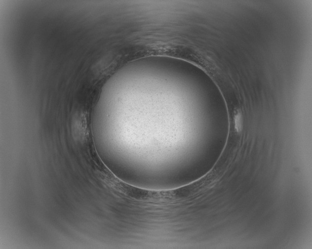 X0000068261347200604241221