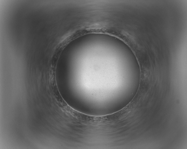 X0000068261350200604241221