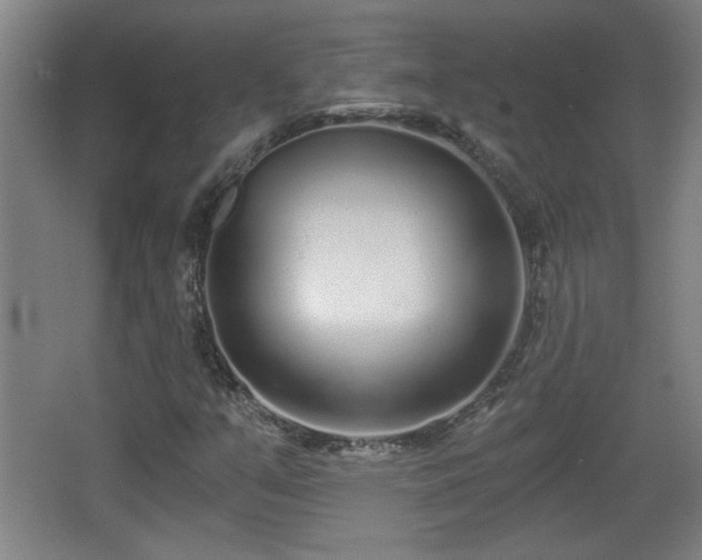 X0000068261351200604241221