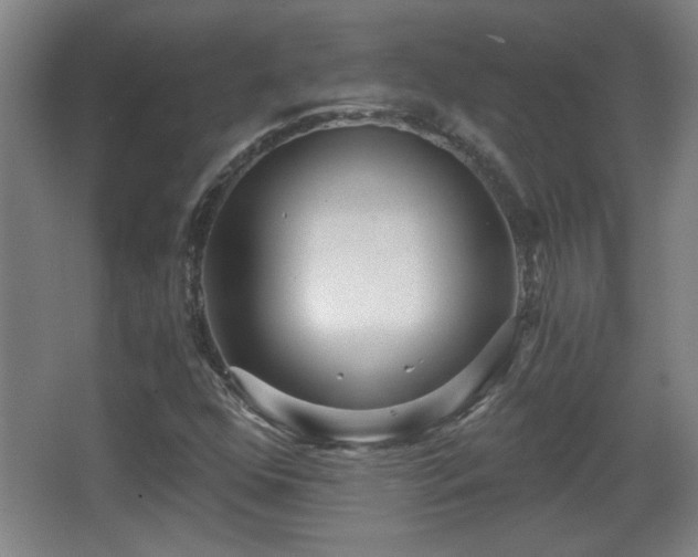 X0000068261352200604241221