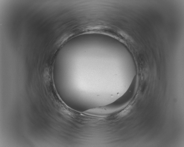 X0000068261353200604241221