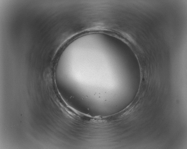 X0000068261356200604241221