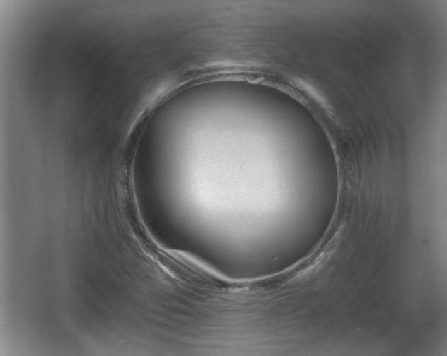 X0000068261357200604241221