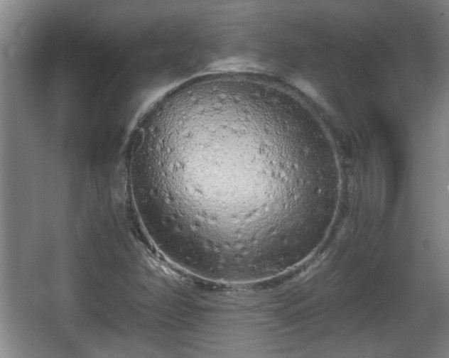 X0000068261358200604241221