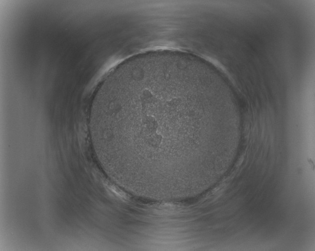 X0000068261359200604241221