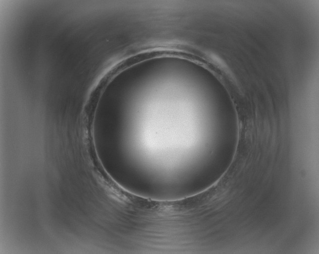 X0000068261360200604241221