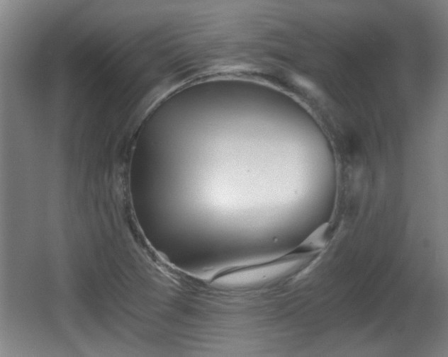 X0000068261361200604241221