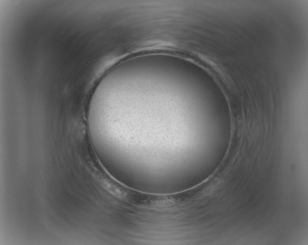 X0000068261363200604241221