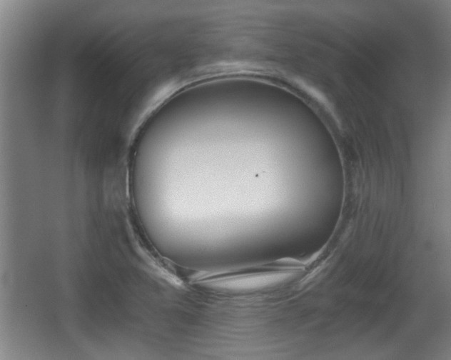 X0000068261365200604241221