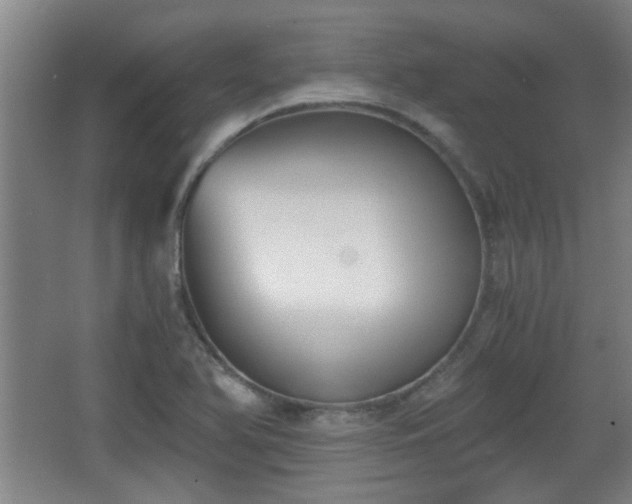 X0000068261366200604241221