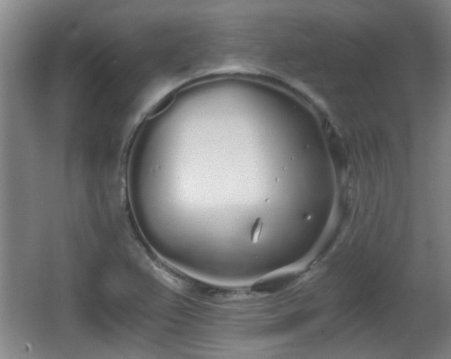 X0000068261367200604241221