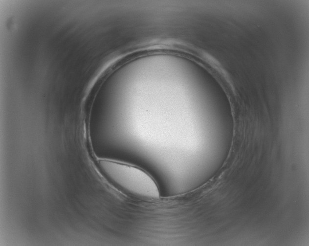 X0000068261368200604241221