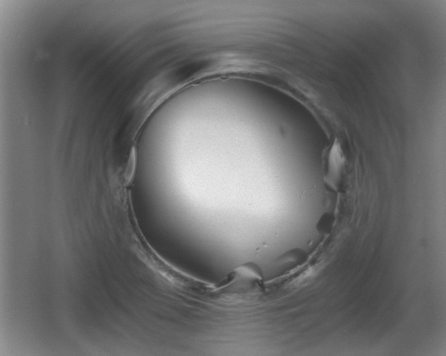 X0000068261369200604241221