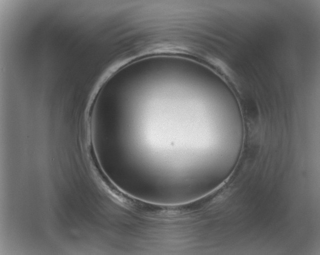 X0000068261371200604241220