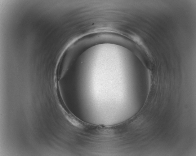 X0000068261372200604241220