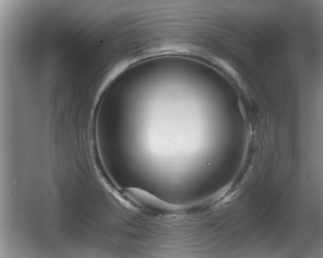 X0000068261373200604241220