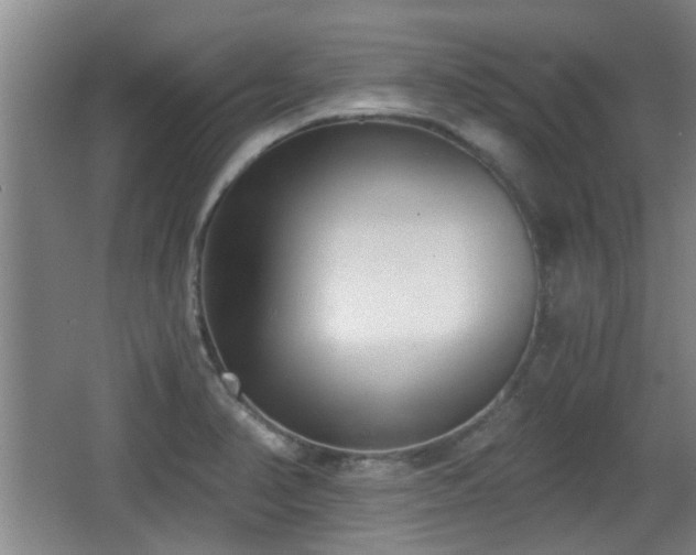 X0000068261374200604241220