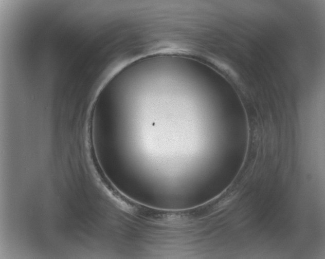 X0000068261375200604241220