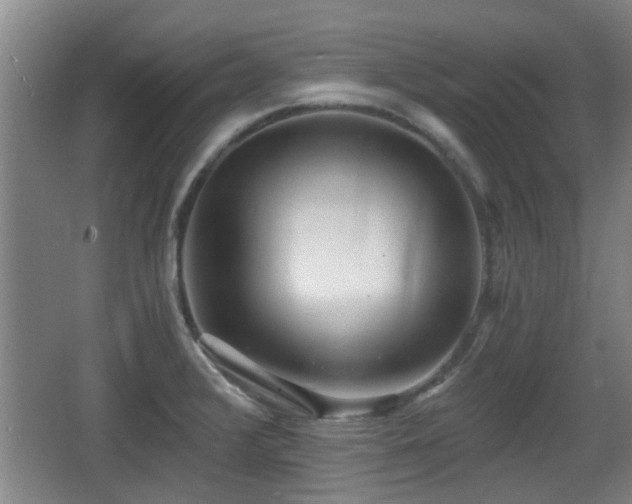 X0000068261376200604241220