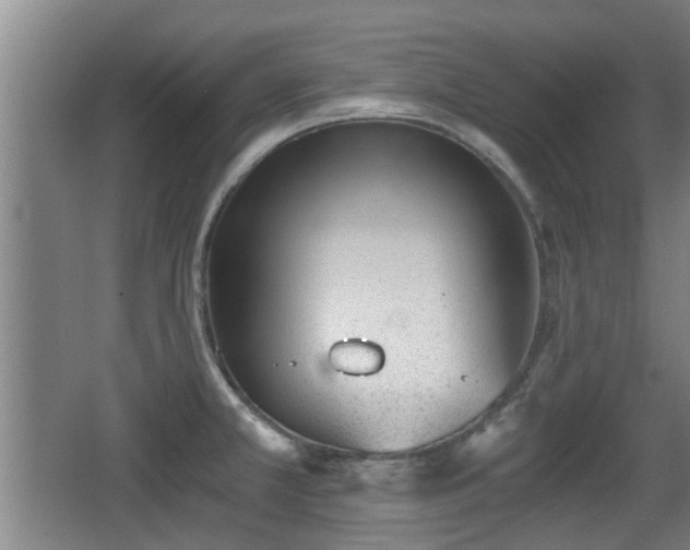 X0000068261381200604241220